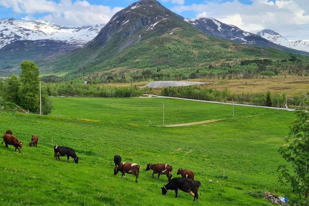 Holiday Home Among The Pearls Of Norway Stranda  Exteriér fotografie