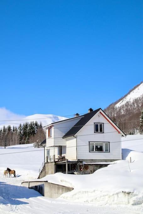 Holiday Home Among The Pearls Of Norway Stranda  Exteriér fotografie