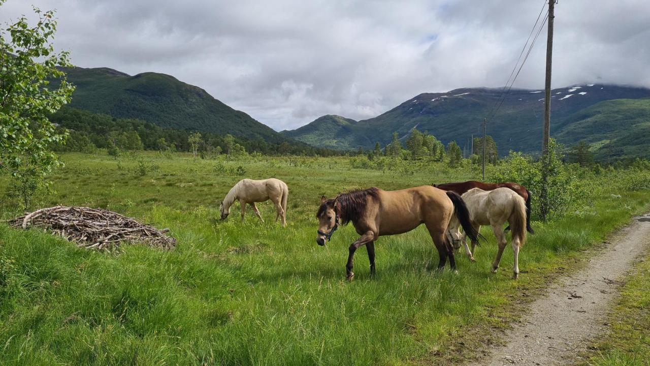 Holiday Home Among The Pearls Of Norway Stranda  Exteriér fotografie