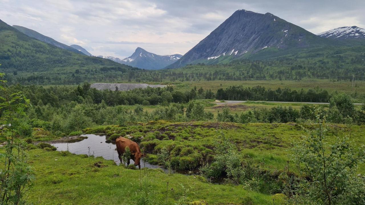 Holiday Home Among The Pearls Of Norway Stranda  Exteriér fotografie